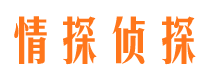 狮子山情探私家侦探公司